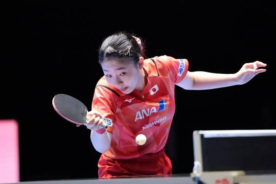 了可供借鉴 了可供借鉴